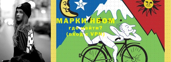 стаф Алзамай