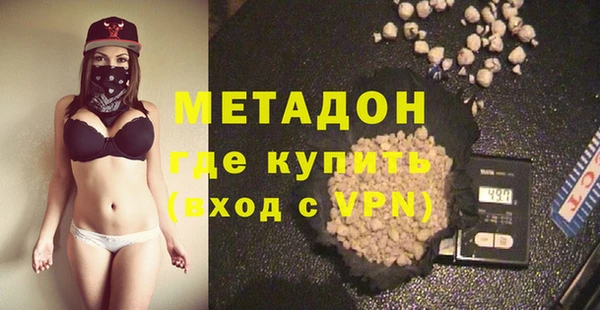 стаф Алзамай