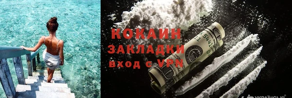 стаф Алзамай