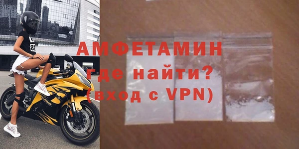 стаф Алзамай