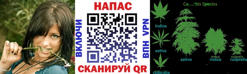 Купить где  Суоярви  МАРИХУАНА OG Kush 